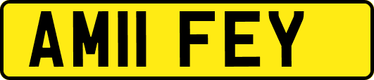 AM11FEY