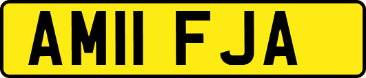 AM11FJA