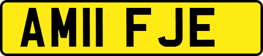 AM11FJE