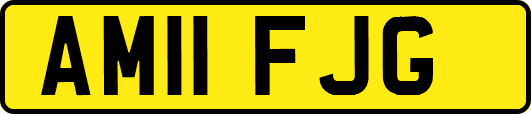 AM11FJG