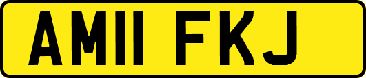 AM11FKJ