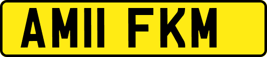 AM11FKM