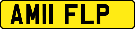 AM11FLP