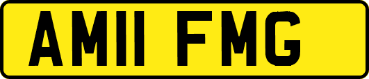 AM11FMG