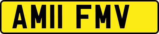 AM11FMV