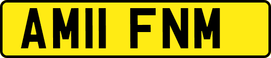 AM11FNM
