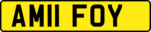 AM11FOY