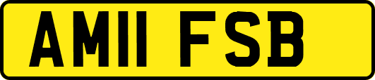 AM11FSB