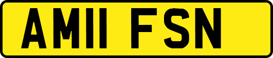 AM11FSN