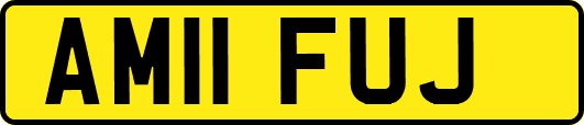 AM11FUJ