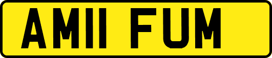 AM11FUM