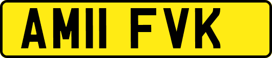AM11FVK