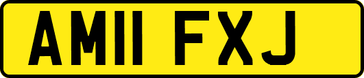 AM11FXJ