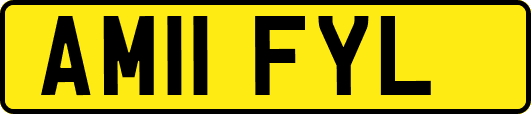 AM11FYL
