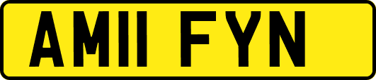 AM11FYN