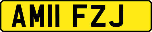 AM11FZJ