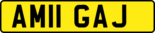 AM11GAJ