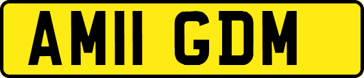 AM11GDM