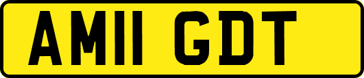 AM11GDT