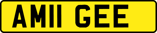 AM11GEE
