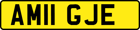 AM11GJE
