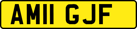 AM11GJF