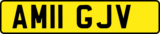 AM11GJV