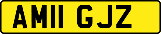 AM11GJZ