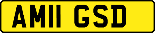 AM11GSD