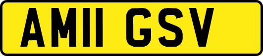 AM11GSV