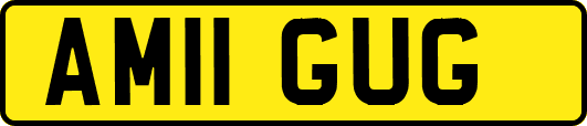 AM11GUG