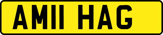 AM11HAG