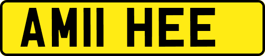 AM11HEE