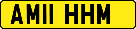 AM11HHM