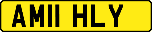 AM11HLY