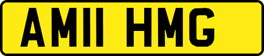 AM11HMG