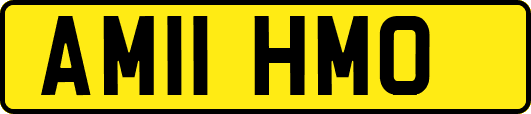 AM11HMO