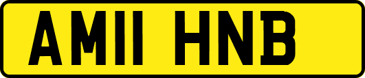 AM11HNB
