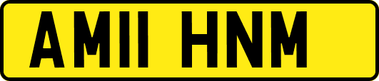 AM11HNM