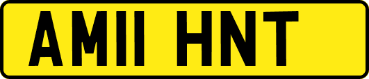 AM11HNT