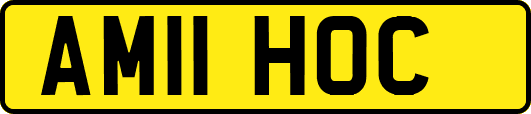 AM11HOC