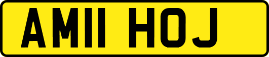 AM11HOJ