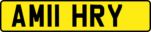 AM11HRY