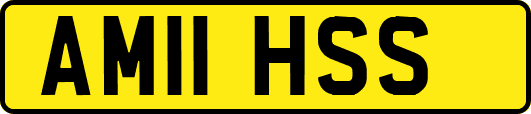 AM11HSS