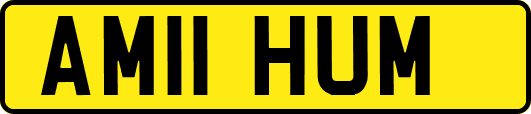 AM11HUM