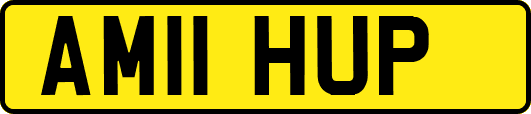 AM11HUP