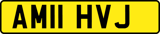 AM11HVJ