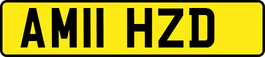 AM11HZD