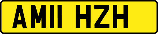 AM11HZH