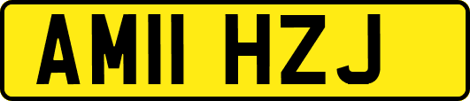 AM11HZJ